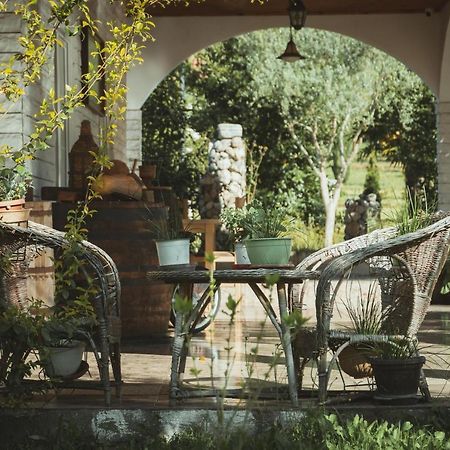Guesthouse Lord Byron Tepelene Екстериор снимка