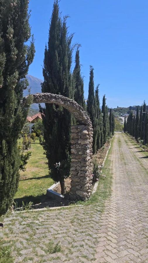 Guesthouse Lord Byron Tepelene Екстериор снимка