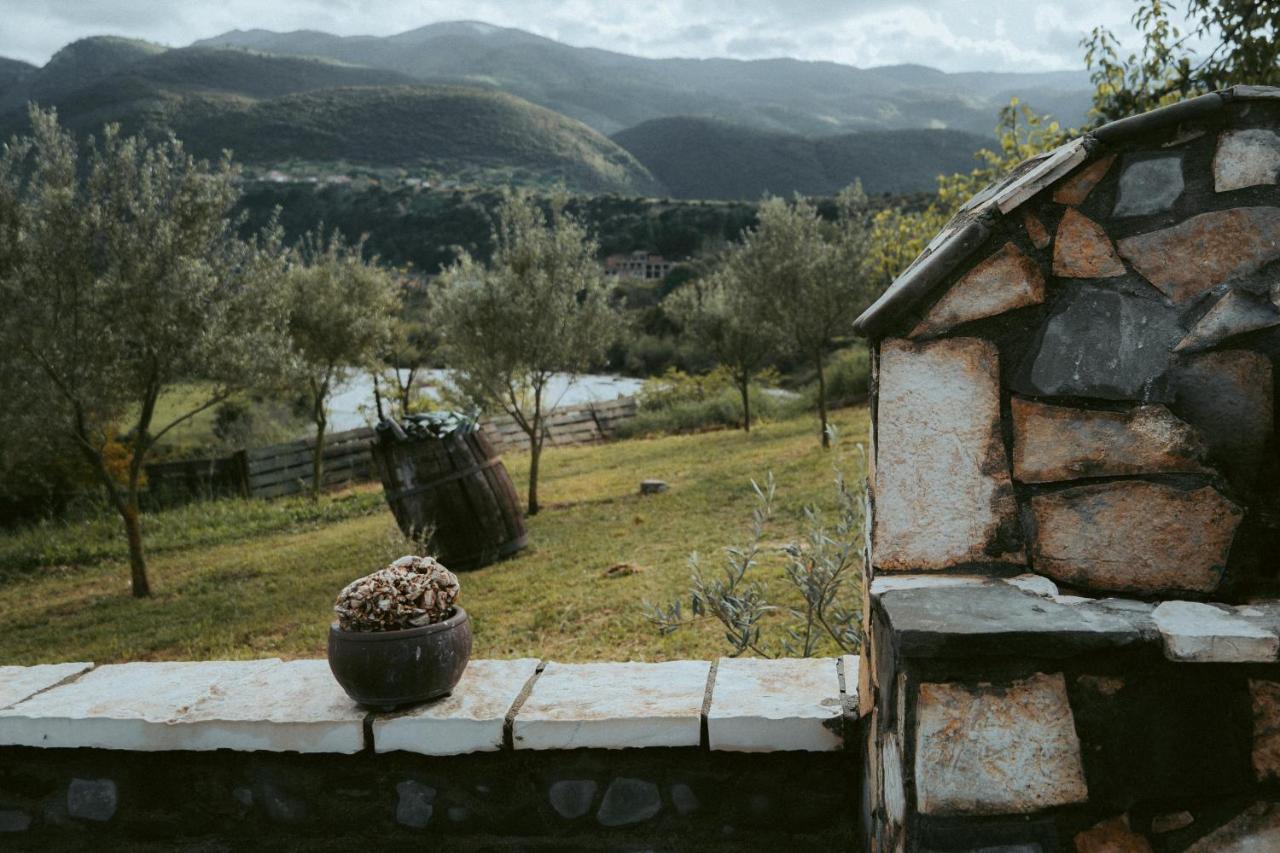 Guesthouse Lord Byron Tepelene Екстериор снимка